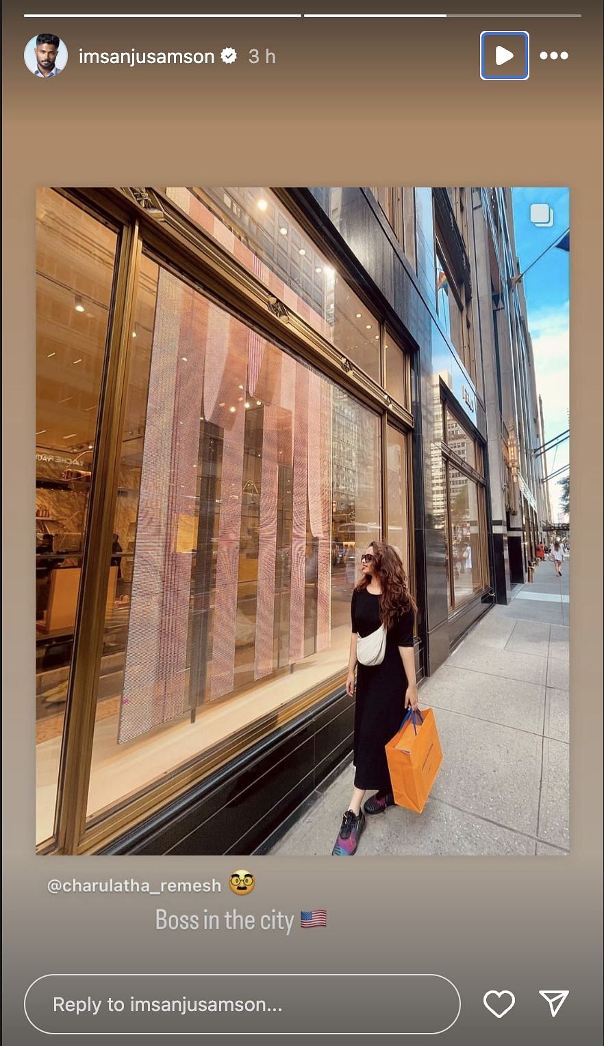 Charulatha Remesh in New York. (Credit: Instagram)